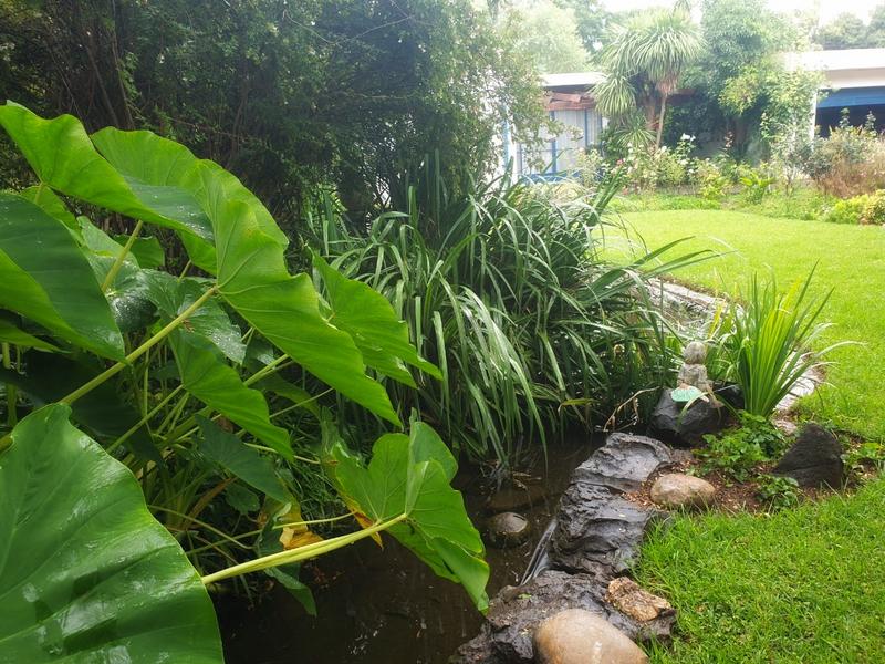 7 Bedroom Property for Sale in Lichtenburg North West